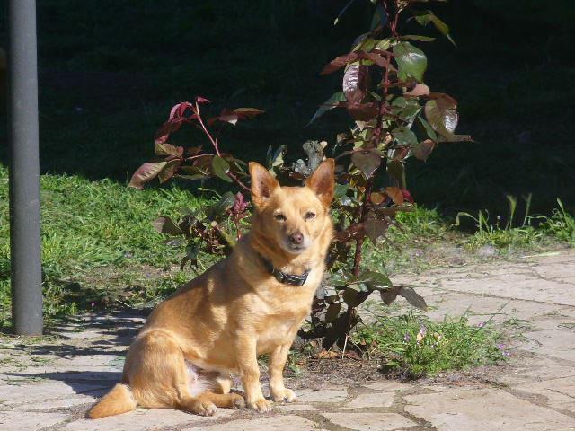 Zita
