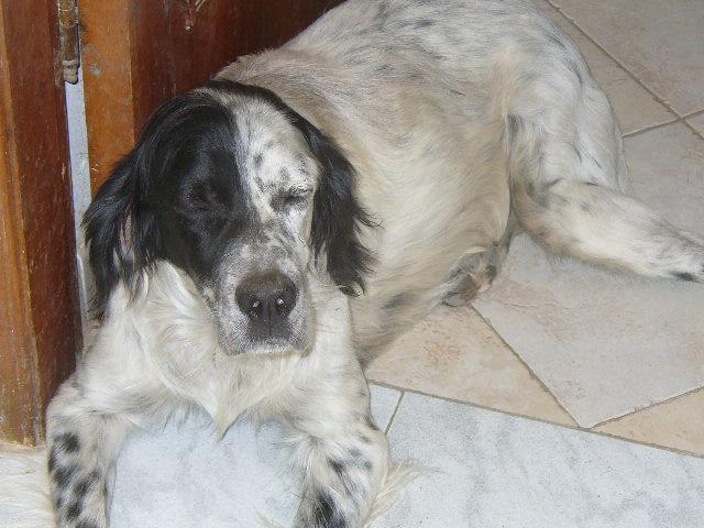 Vicino