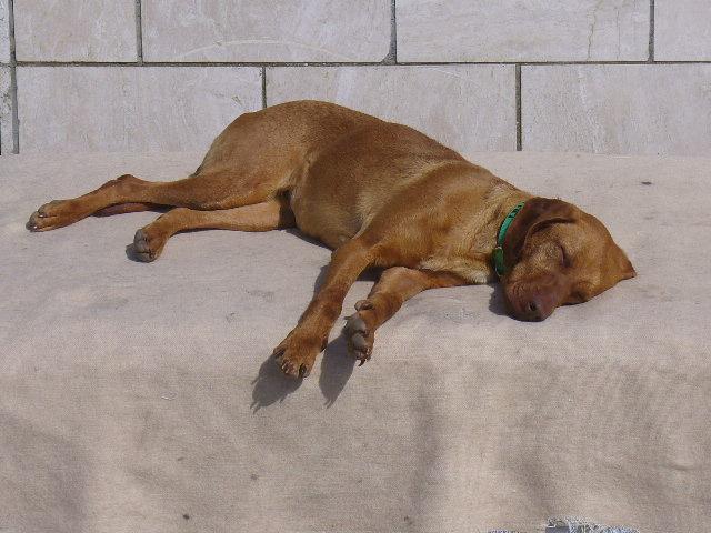 Lilla