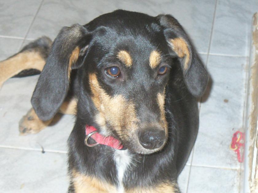 Asia